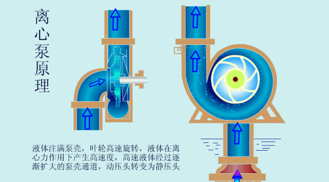 離心泵啟動時(shí)，出口閥門必須關(guān)閉嗎？