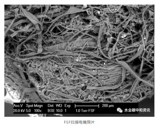 碳中和:可持續(xù)污水處理廠一個(gè)可以實(shí)現(xiàn)的目標(biāo) 新聞資訊 第4張-