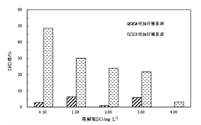 纖維素對污水生物處理系統(tǒng)性能的影響及機理分析 新聞資訊 第6張-