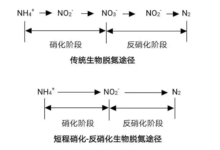 流體展|面對低濃度氨氮工業(yè)廢水束手無策？這幾種方法可以解決 行業(yè)熱點 第4張